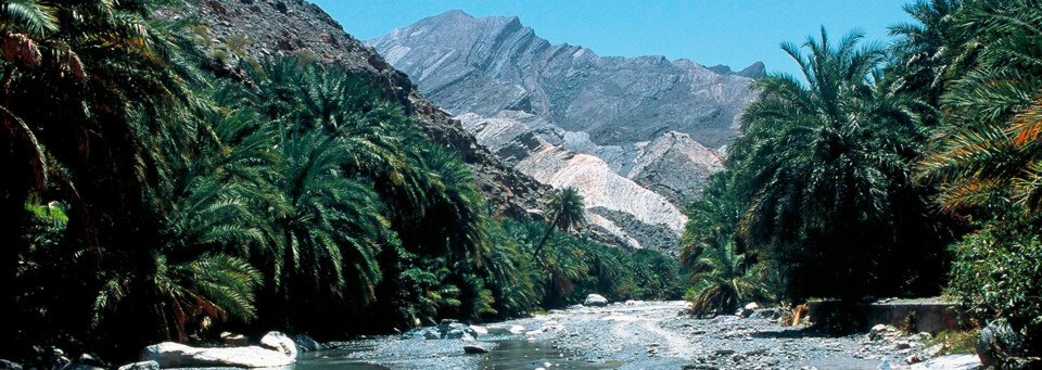 Wadi im Hajar Gebirge