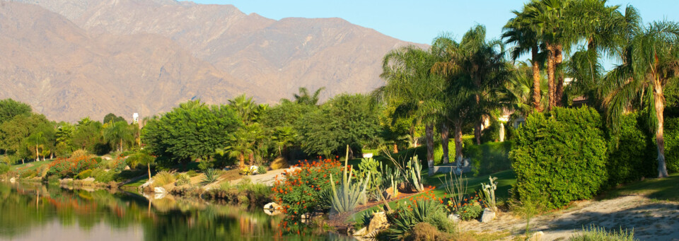 Palm Springs Oase in Wüste