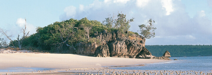 Strand Kakadu Nationalpark Northern Territory