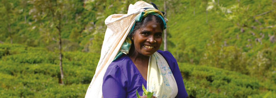 Teeplückerin auf Teeplantage in Sri Lanka