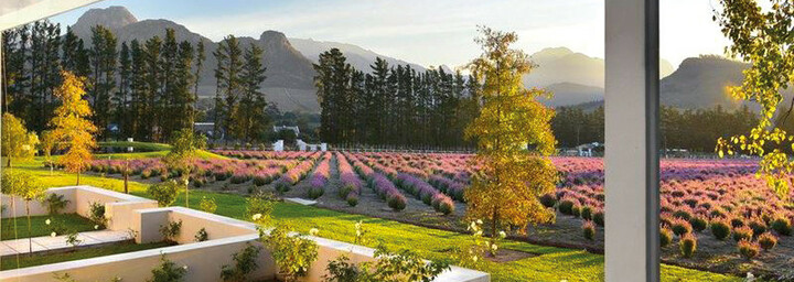 Lavender Farm Guest House Hotels Explorer De