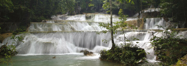 Wasserfall auf der Insel Sulawesi