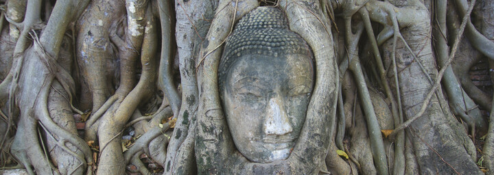 Ayutthaya Wat Mahathad