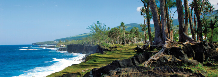 Küste La Réunion