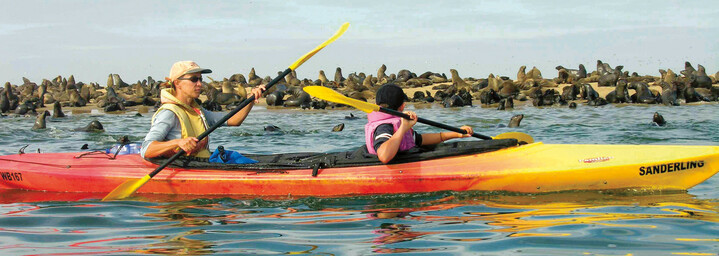 Kanufahrer und Seelöwen an der Walvis Bay