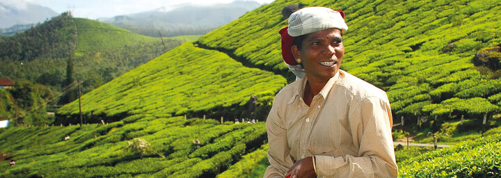 Frau auf Teeplantage in Munnar
