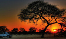Botswana Kombinationen mit Desert & Delta Safaris