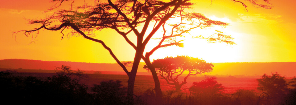 Sonnenuntergang im Serengeti Nationalpark Tansania