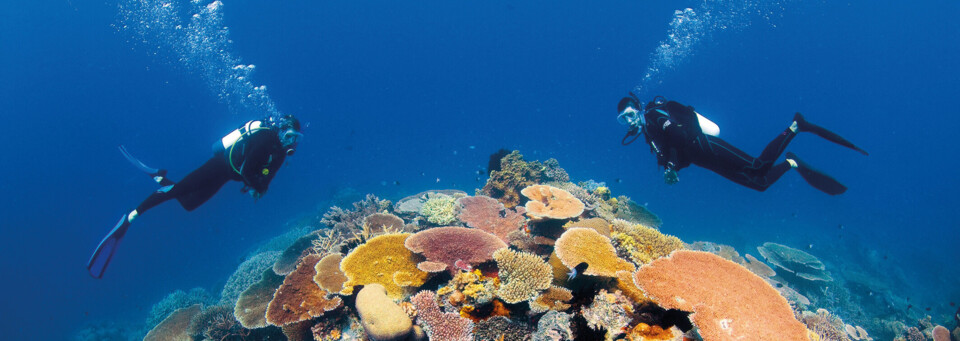 Great Barrier Reef in Australien 