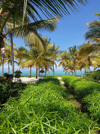 Sansibar Reisebericht: Palmen und Meer