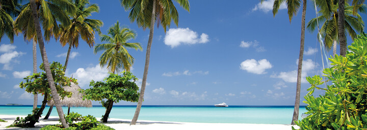 Malediven Meer Strand Palmen