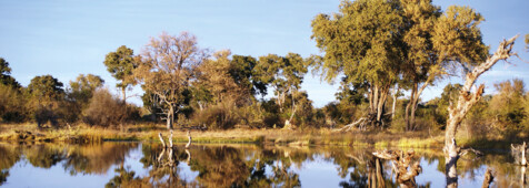 Das Grüne Herz Botswanas