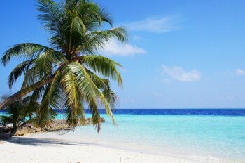Urlaub auf den Malediven