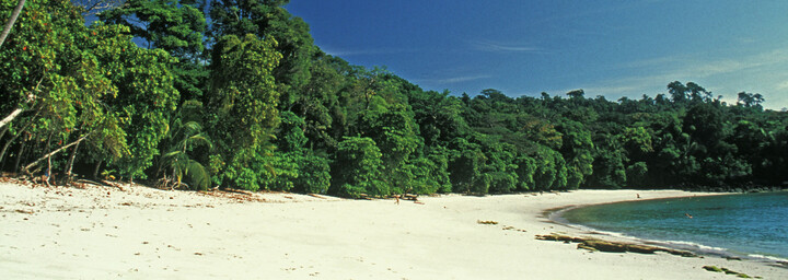 Strand im Manuel Antonio NP