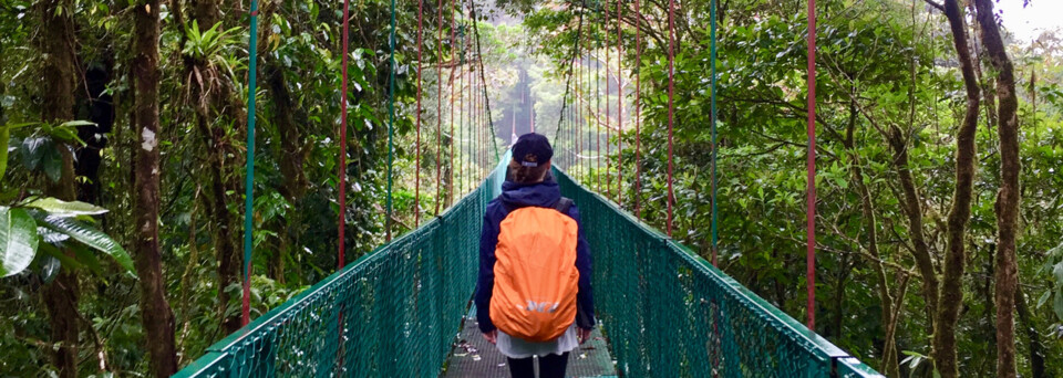 Monteverde Nationalpark Brücke