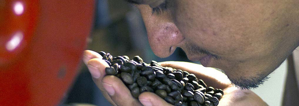 Kaffeeplantage Costa Rica