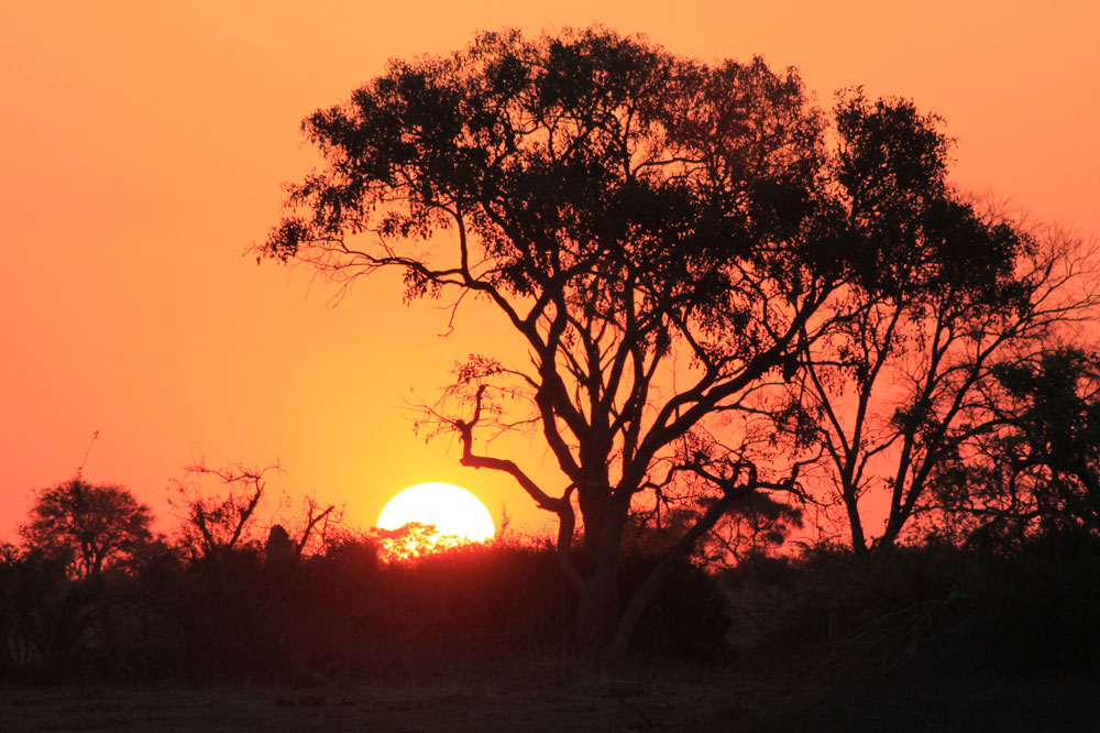 Sonnenuntergang in Afrika