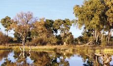 Das Grüne Herz Botswanas