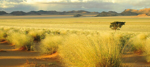 Landschaft Little Karoo