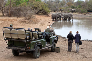 Reisebericht Südafrika: Pirschfahrt im privaten Wildreservat