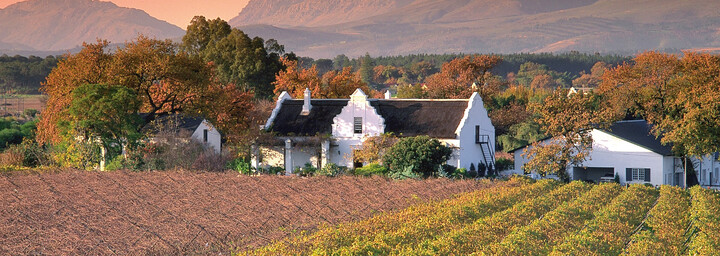 Weinregion in Südafrika