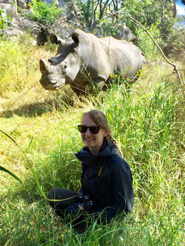 Nashorn-Pirsch im Matobo Nationalpark - Simbabwe Reisebericht