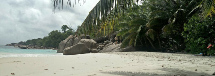 Typischer Strand mit Granitfelsen auf den Seychellen