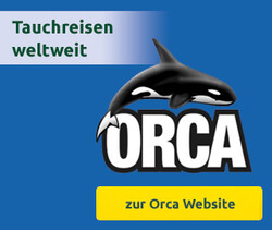 Orca Banner
