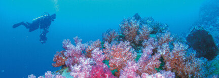 Ningaloo Reef & Karijini