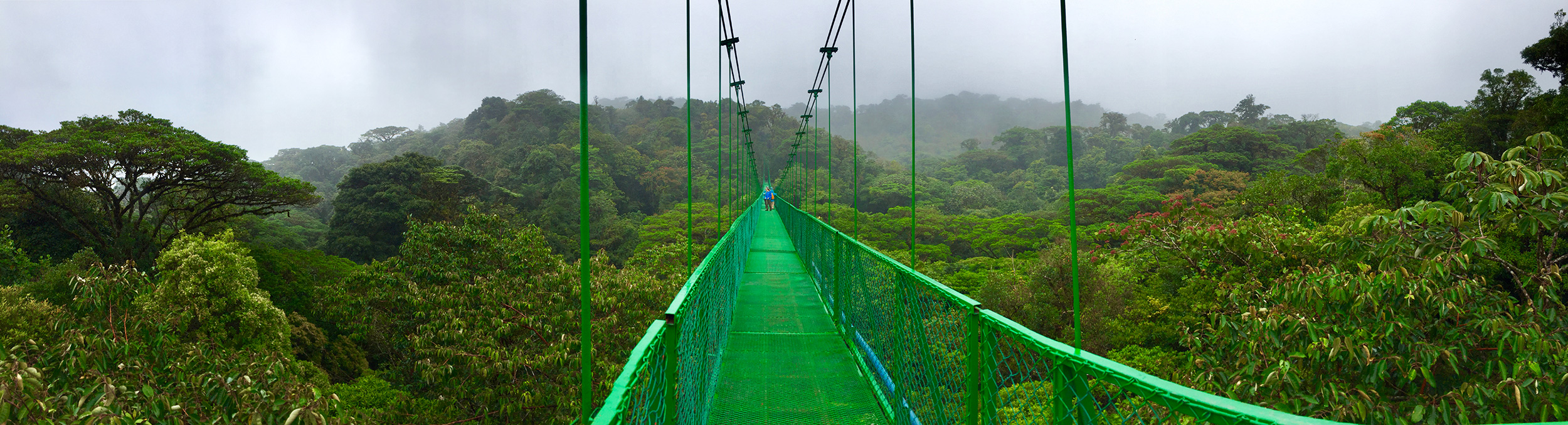 Costa Rica Reisebericht - Monteverde Hanging Bridges