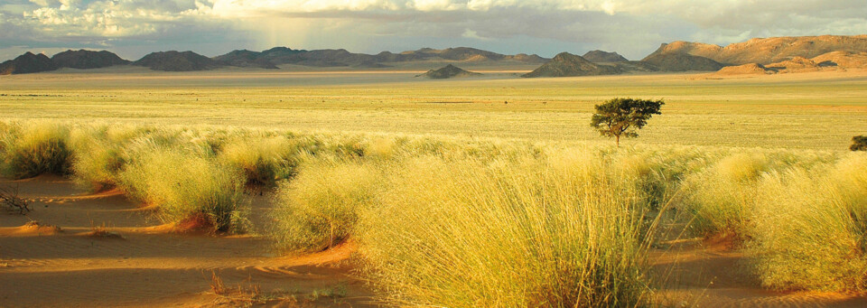Landschaft Little Karoo