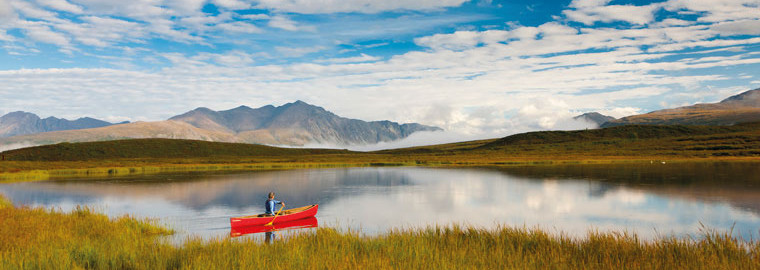 Denali Nationalpark Alaska