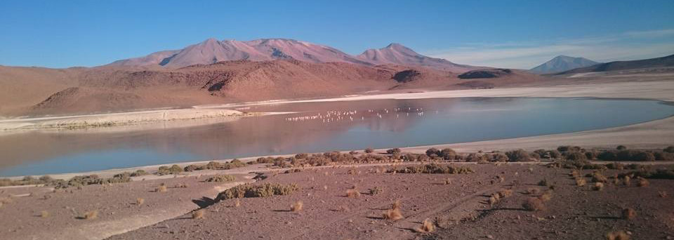 Wüstenlandschaft Salar de Uyuni in Bolivien