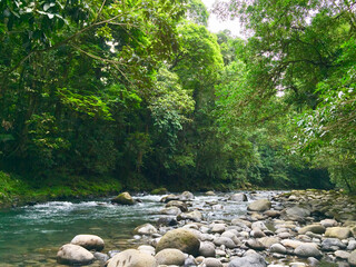 Costa Rica Reisebericht - Sarapiqui