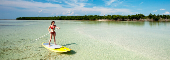 Paddleboarding Florida Keys
