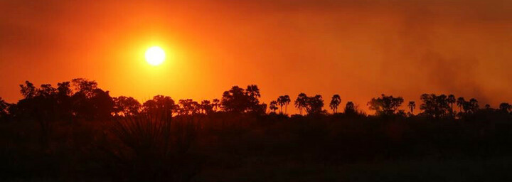 Sonnenuntergang im Okavango Delta - Südliches Afrika Reisebericht