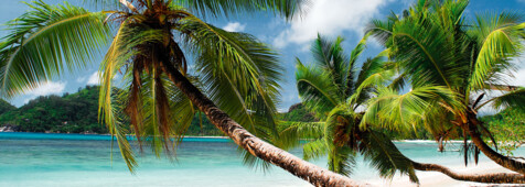 Paradies der Seychellen