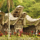Sulawesi - Land der Toraja