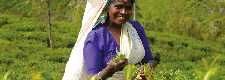 Teepflückerin in Sri Lanka