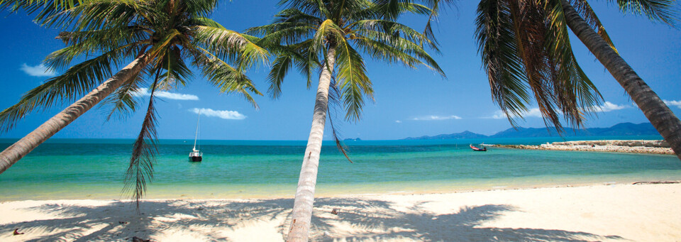 Strand mit Palmen auf Koh Phangan