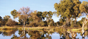 Khwai River Botswana