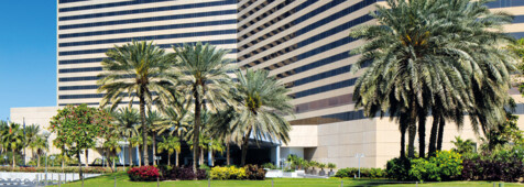 Außenansicht - Hyatt Regency Dubai