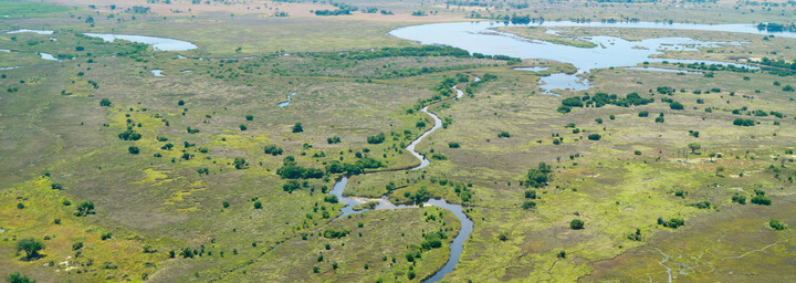 Okavango Delta Vogelperspektive Botswana