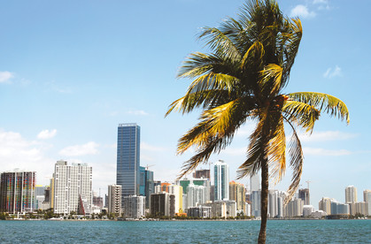 Miami Skyline Florida