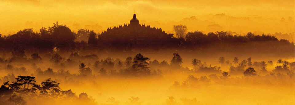 Borobudur im Nebel