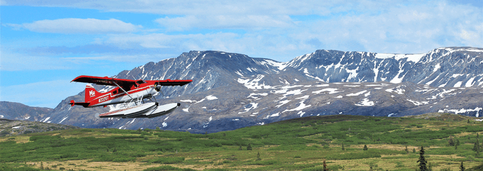 Flugzeug vor dem Denali Gebirge