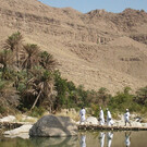 Große Oman-Rundreise