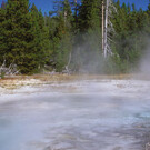 Yellowstone Winter-Erlebnis