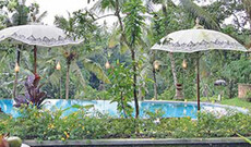 Bucu View Resort