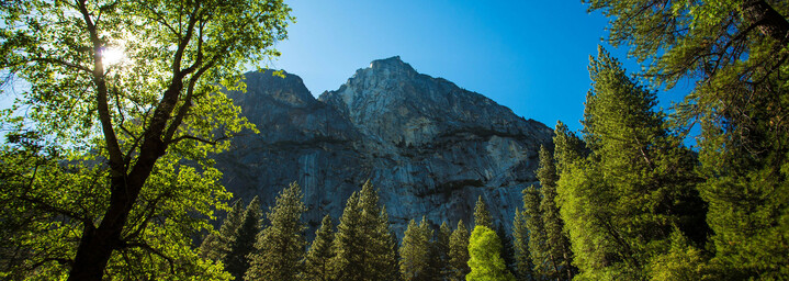 Landschaft im Yosemite Nationalpark